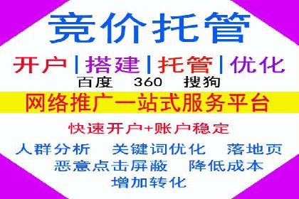 某电商平台的SEM投放全流程案例